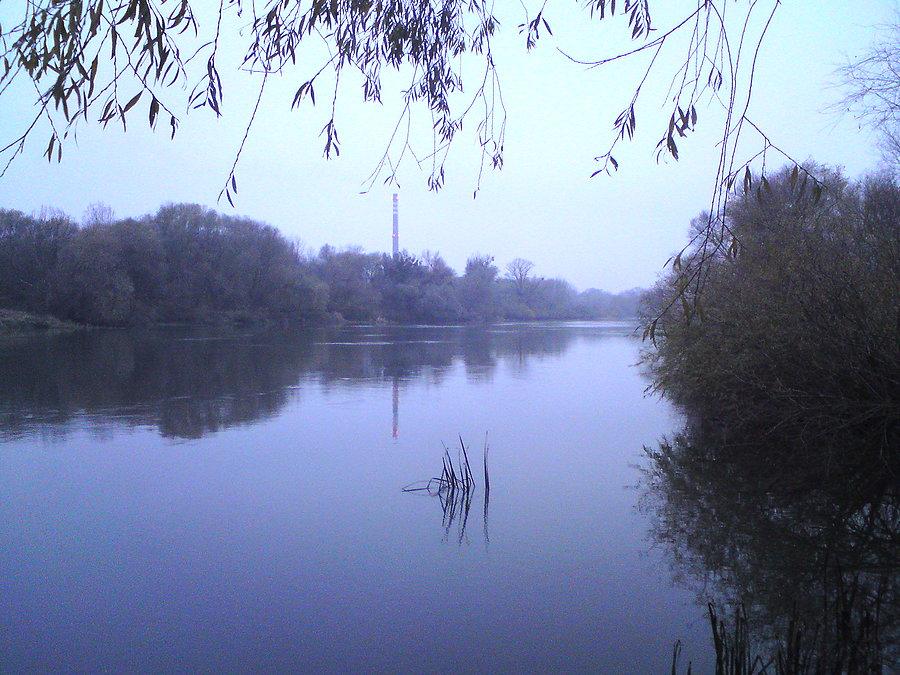 Szarówka nad Odrą