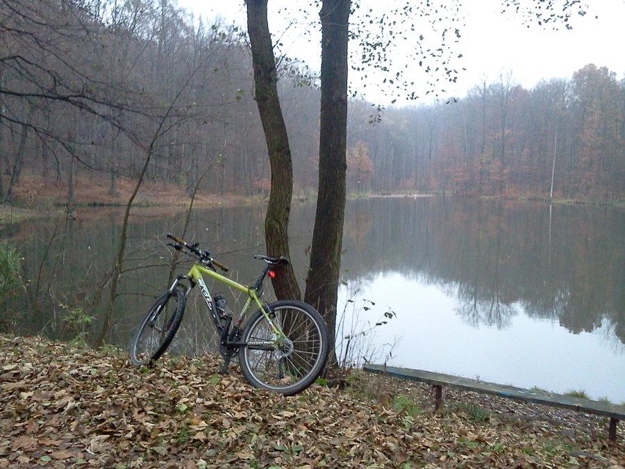 Bučiňák