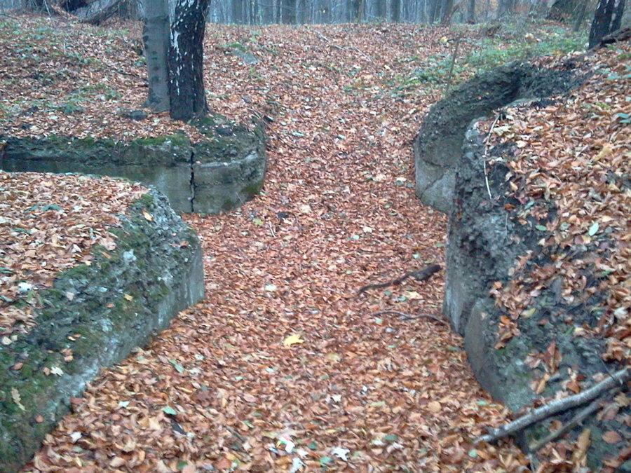 Koło "Ludwika"