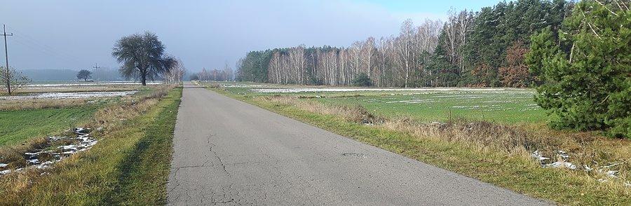 Piękna wiosna