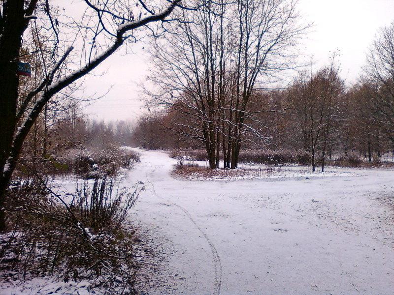 Pierwsza warstwa śniegu