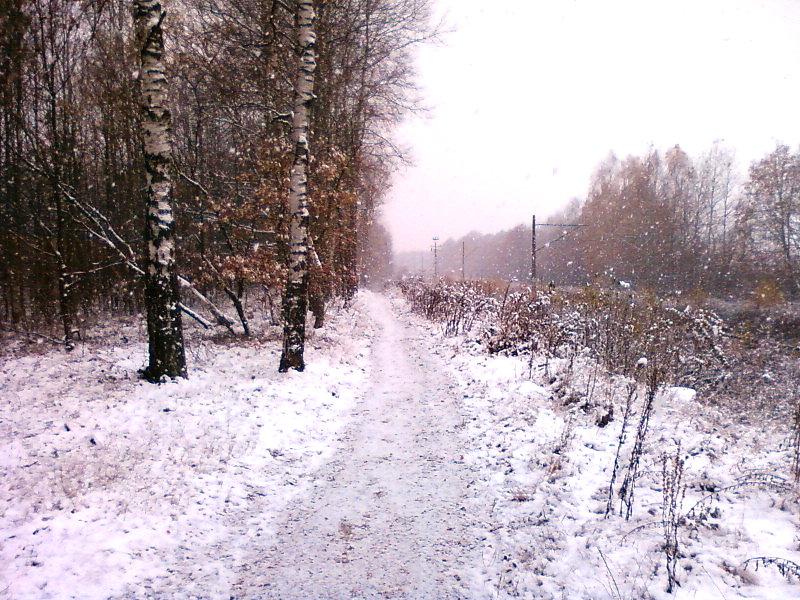 Ściezka wzdłuż torów (Zgierz Północ)