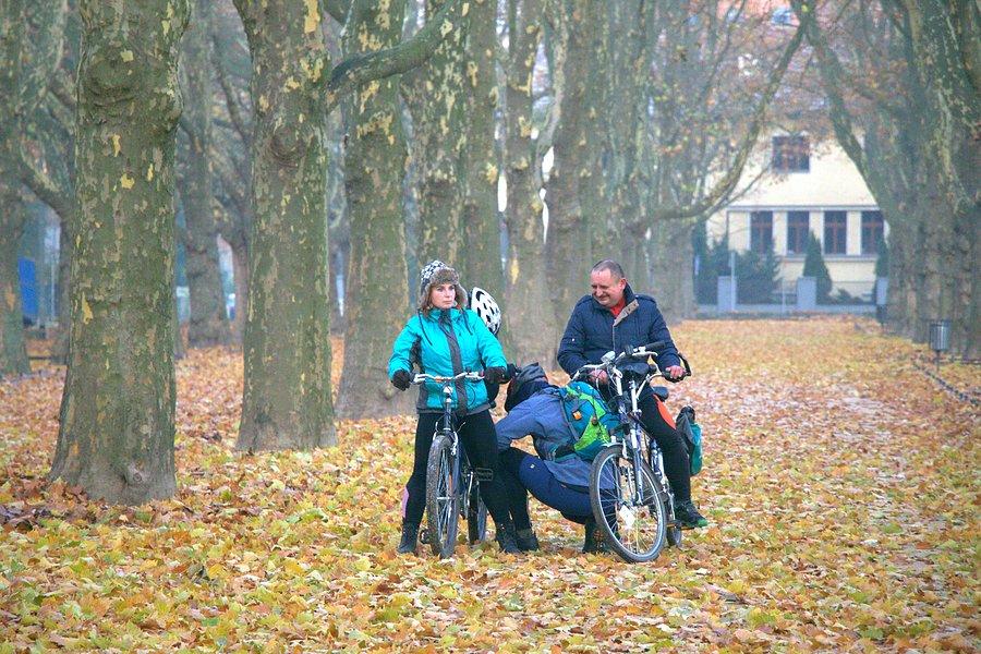 Na Jasnych Błoniach
