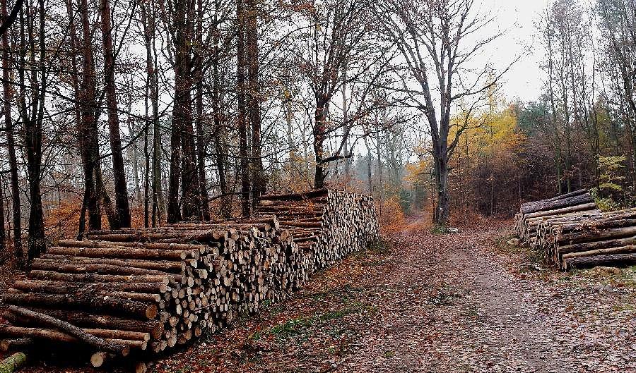 Dojazd pożarowy 47