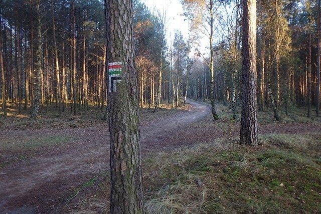 Dla Fjużyna jazda szlakami pieszymi, to "bułka z masłem";)