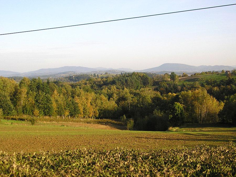 Widoczki