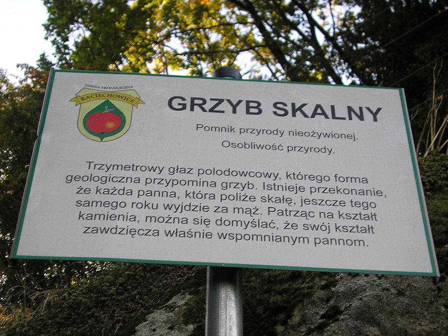 Grzyb skalny w Zegartowicach
