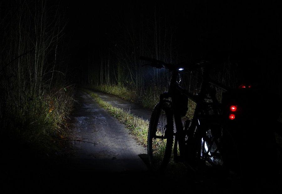 Puszcza Bolimowska nocą
