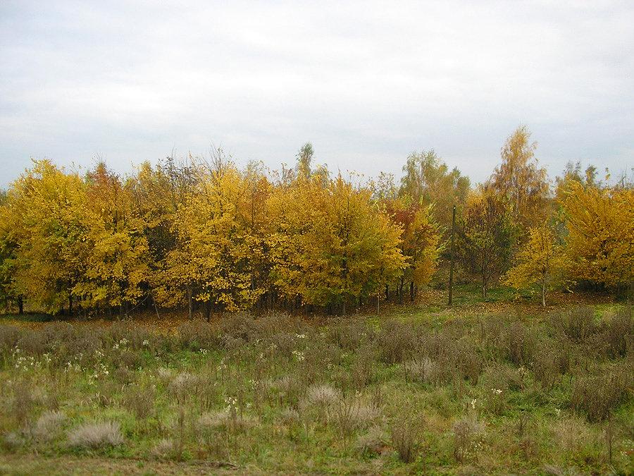 Jesień