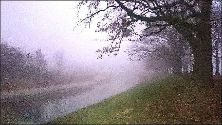 Mgliście
