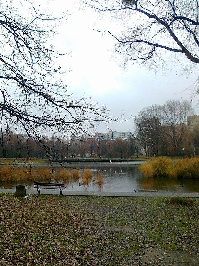 Park Szymańskiego