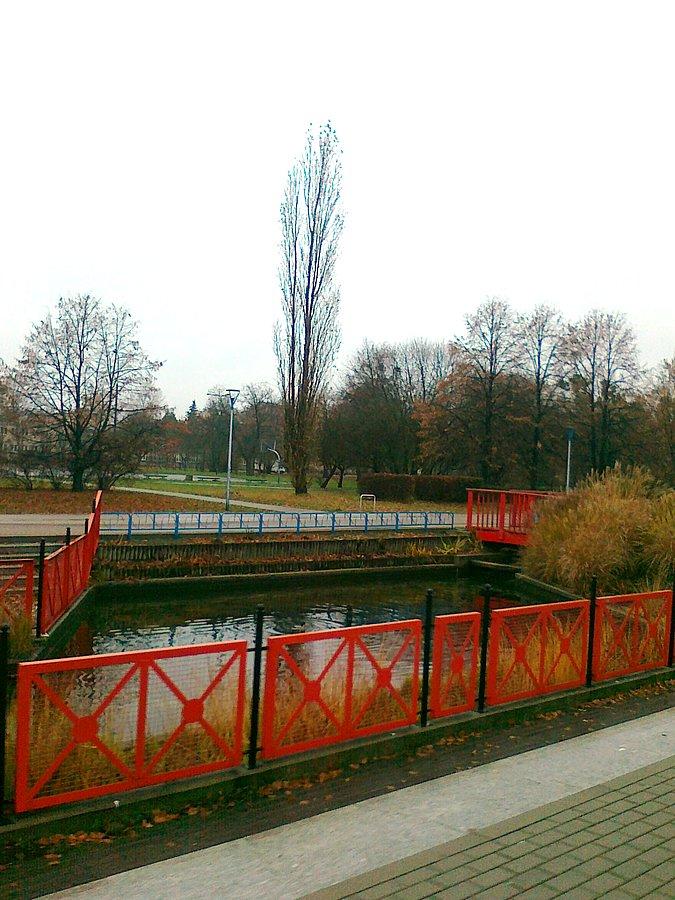 Park Szymańskiego