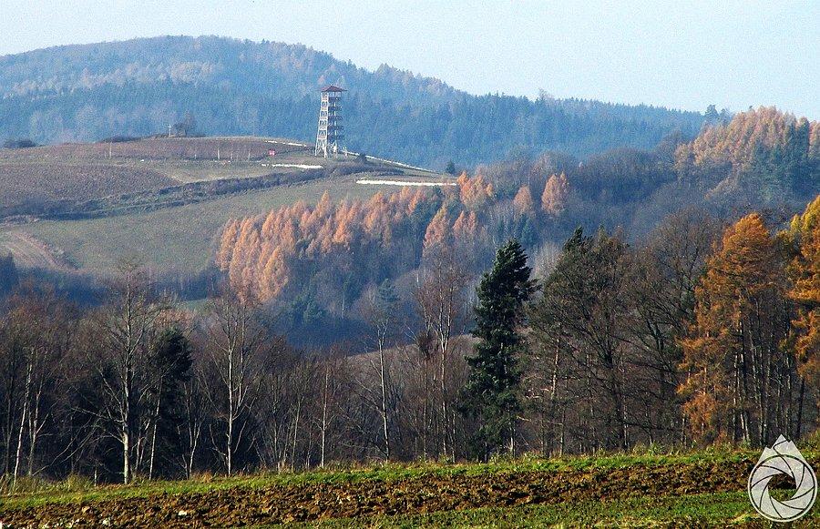 Wieża widokowa w Bruśniku