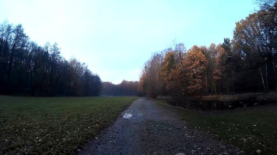W Lasku Makoszowskim
