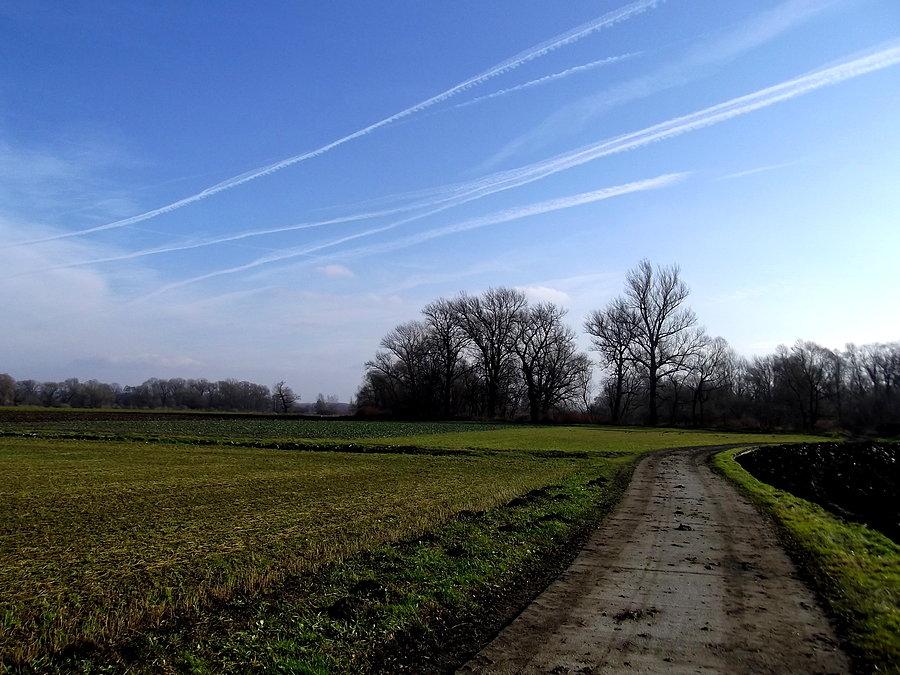 Betonowa ścieżka rowerowa