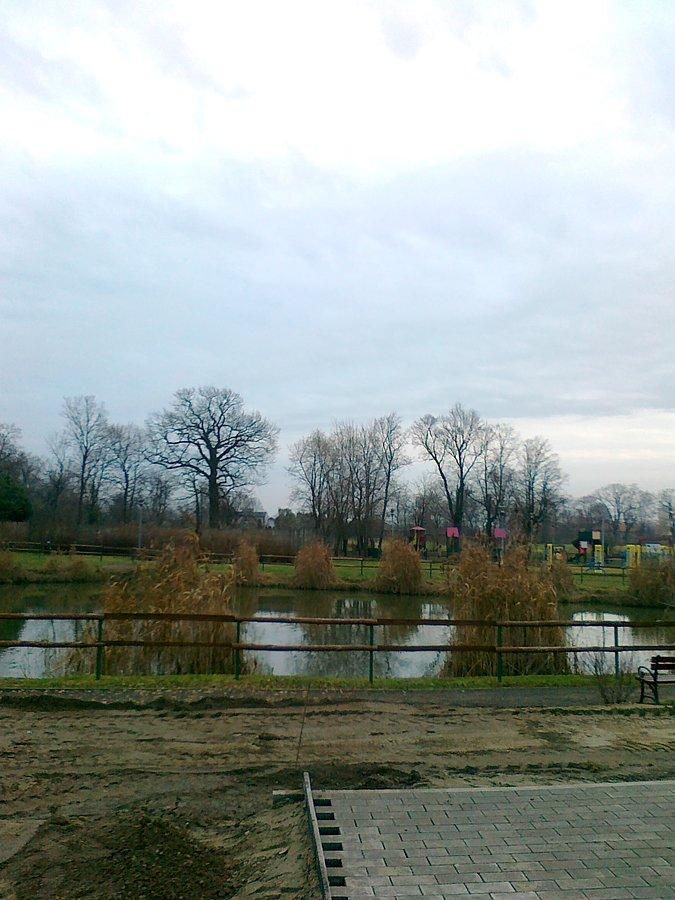Staw w Borzęcinie