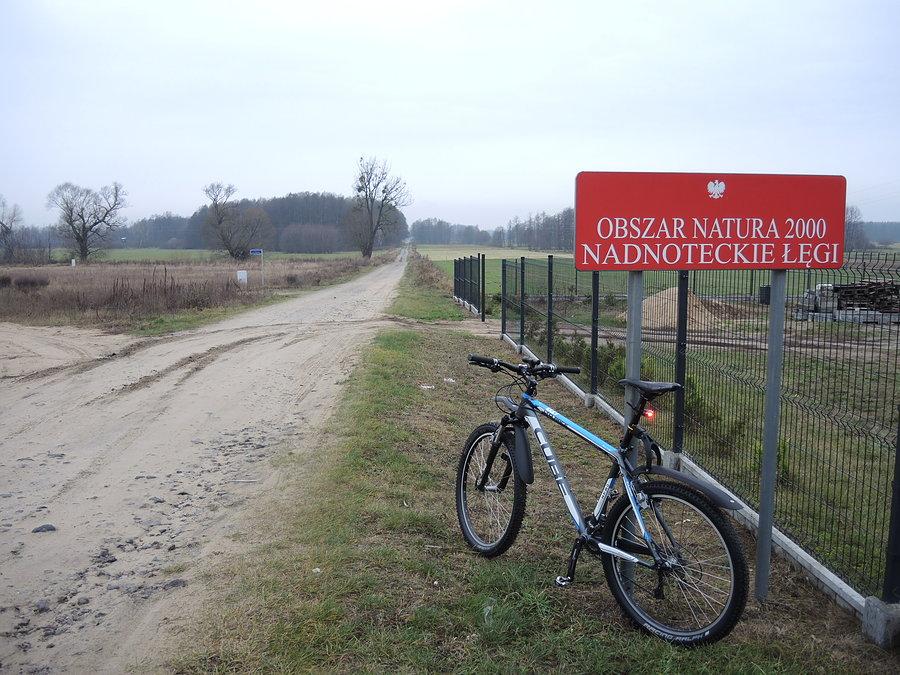 Nadnoteckie Łęgi - w dordze na śluzę Lipica