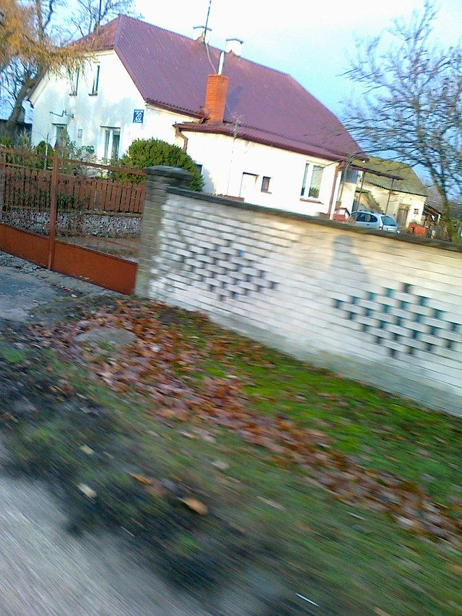 Patrząc uważnie można dostrzec mojego towarzysza