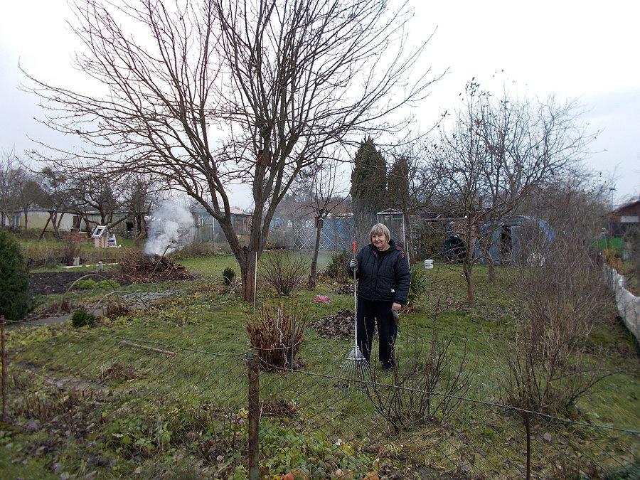 Kristal - naczelna grabarka działki 65