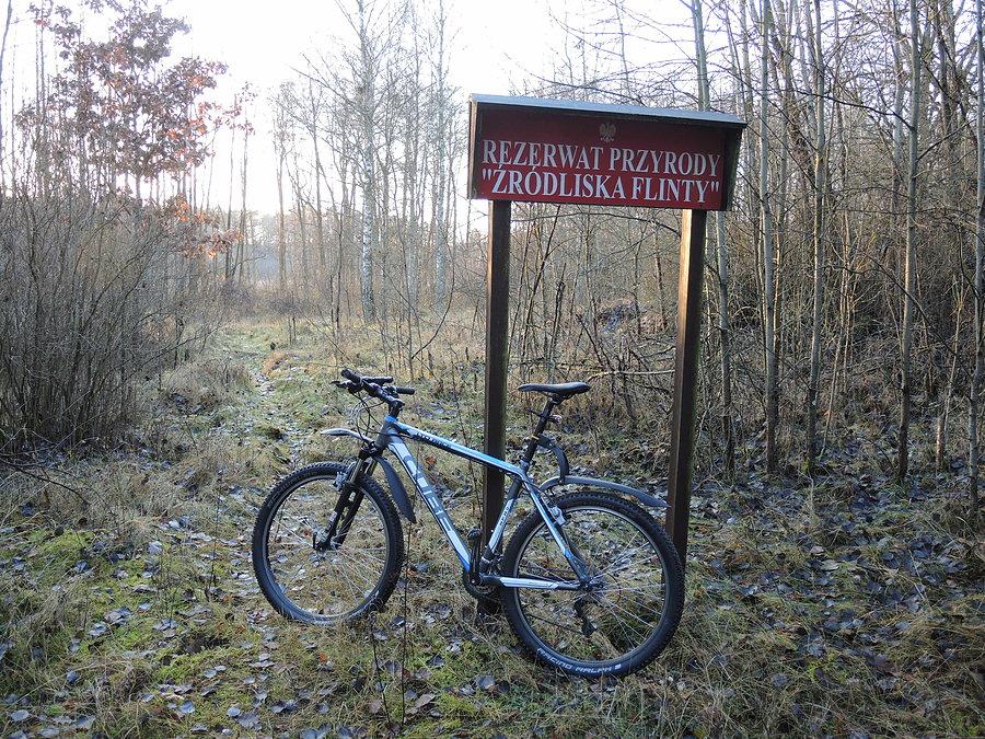 Rezerwat Przyrody "Źródliska Flinty"