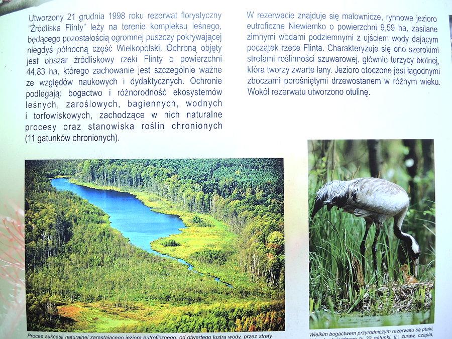 Informacja dotycząca rezerwatu "Źródliska Flinty"