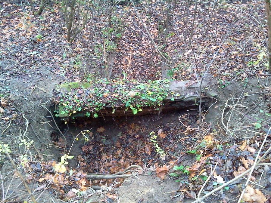 Widok z góry