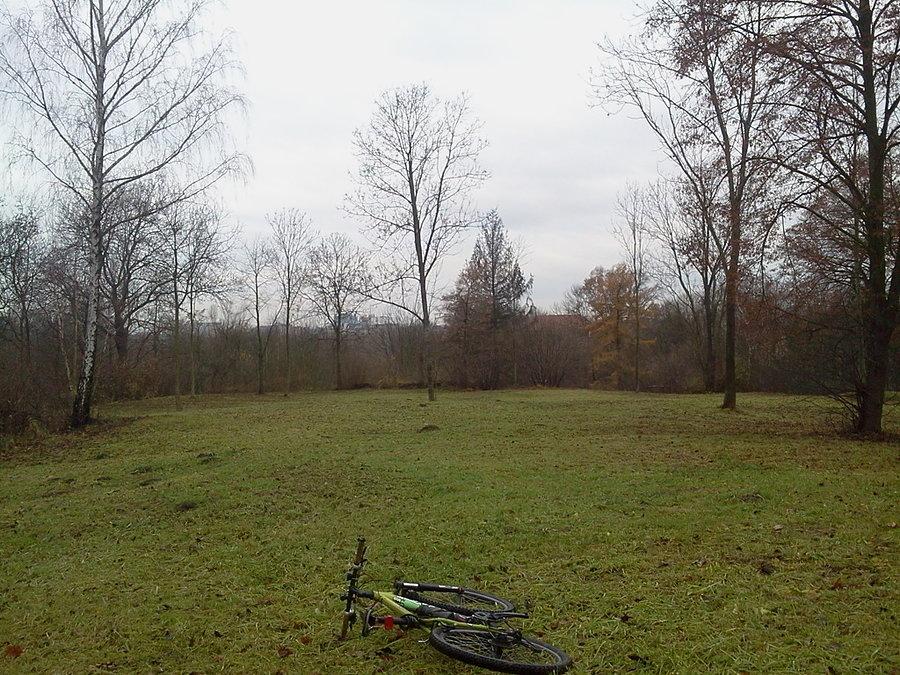 Wydostałem się na dużą łąkę nad skałami