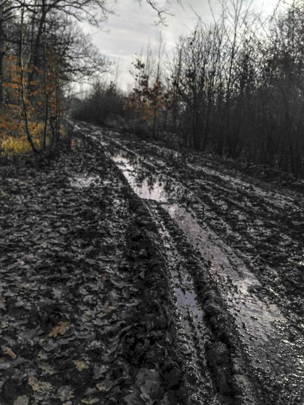 Szutry trochę zaskakują