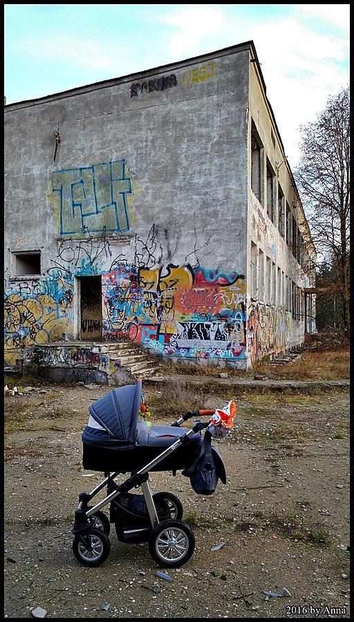 Tymon grzecznie podziwiał