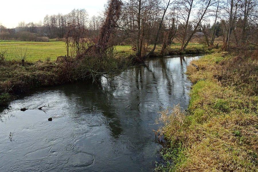 Rezerwat przyrody "Rzeka Rawka"