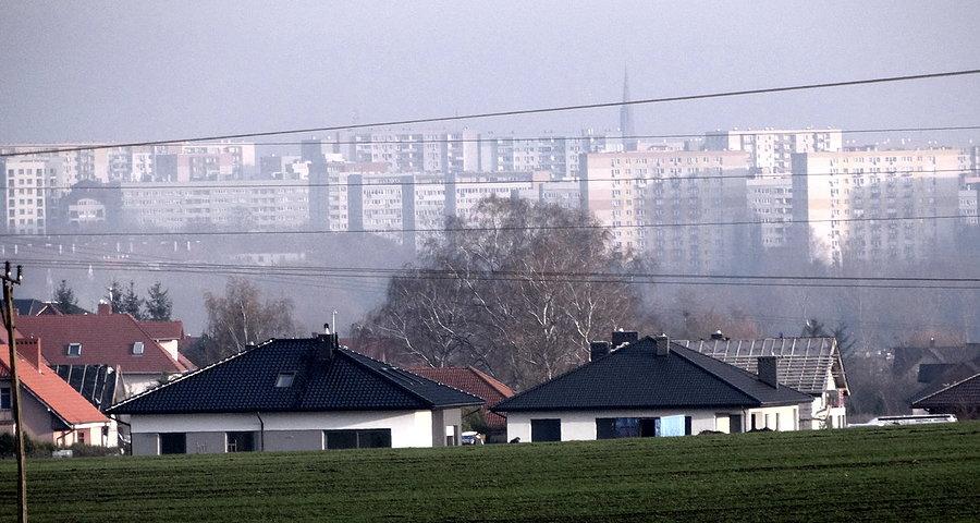W oddali Szczecin - widok z drogi Skarbimierzyce - Bezrzecze