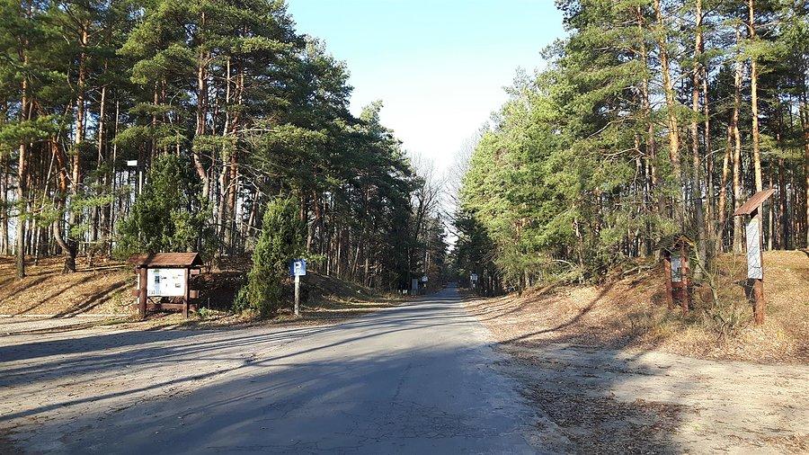 Droga Cmentarz Palmiry - Łomna