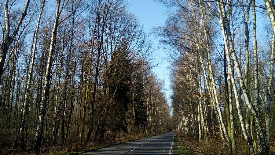 Listopadowo