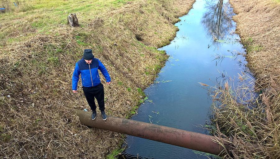 Kuba nad wodą na skraju Sławoszewa - zdjęcie sprzed paru dni