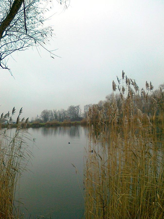 Dawno nie byłam nad tym stawem