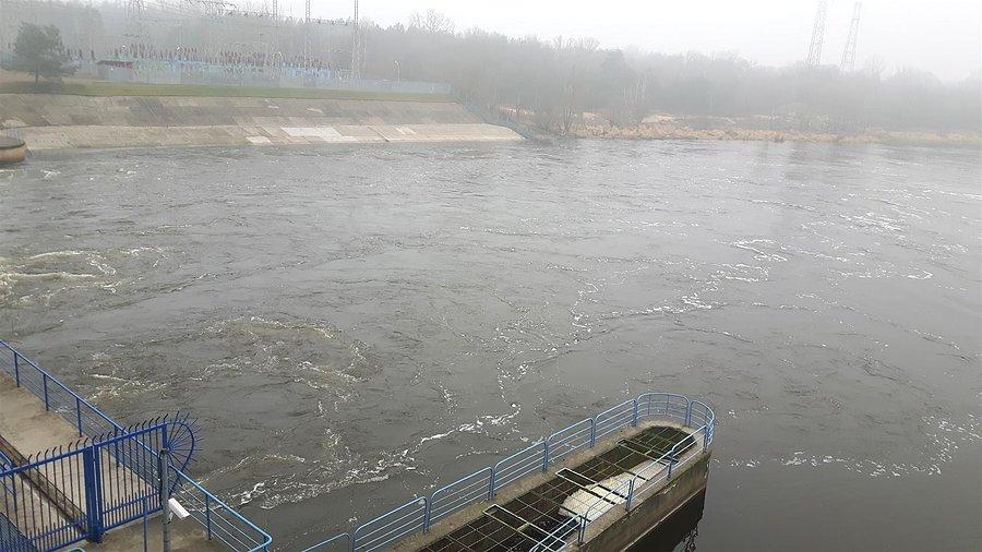 Narew z zapory w Dębem