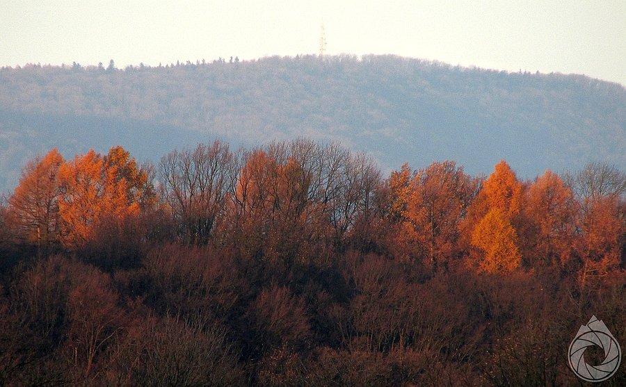 Maślana z rana