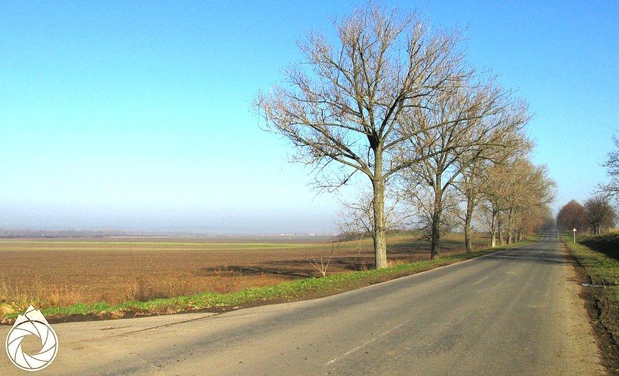 Między górami a nizinami