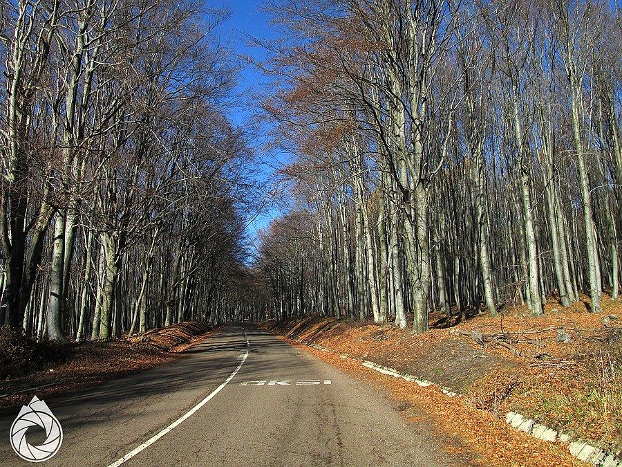 Ostatni kilometr
