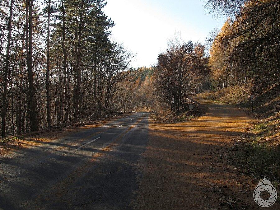 Znów jesień na drodze