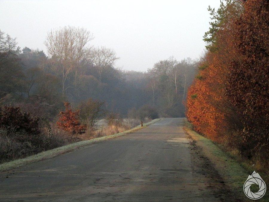 Ranna droga do głównej ulicy