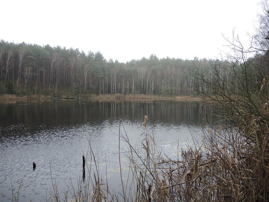 Widok na jezioro od strony północnej