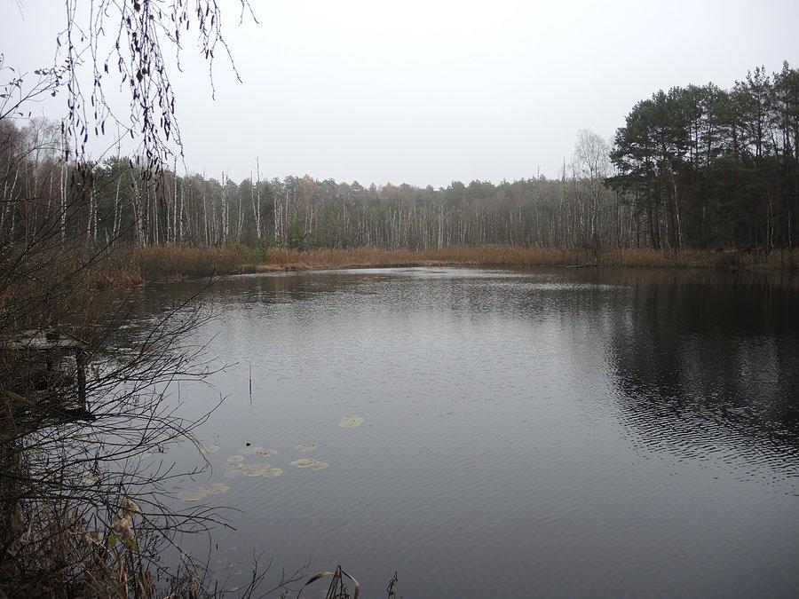Widok na jezioro od strony północnej cd