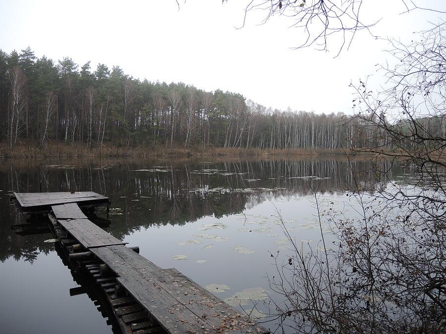 Jezioro Pokraczyn - widok od strony południowej