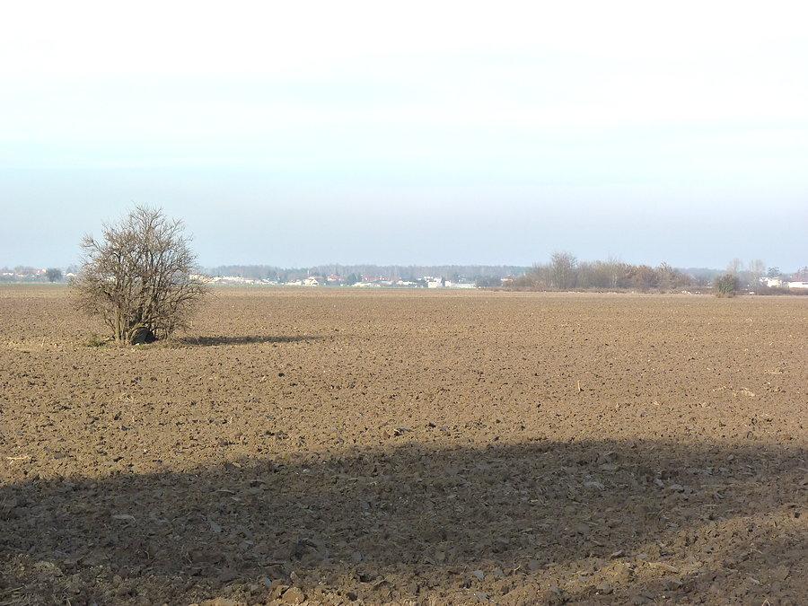 Pola już posprzątane