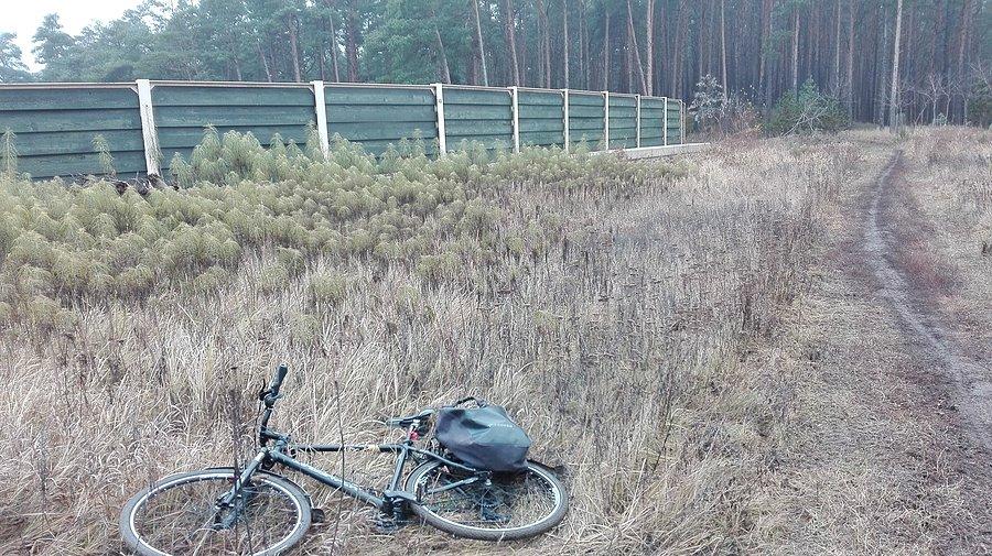 Na kładce nad 25tką