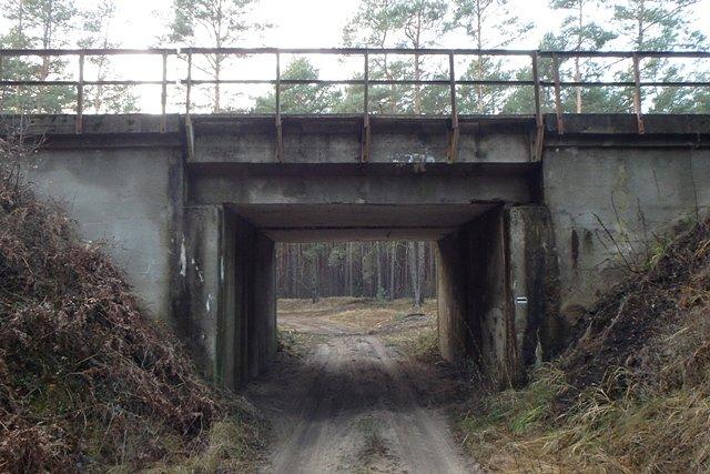 Zaliczenie tego mostu, to już tradycja podczas jazdy puszczańskimi ścieżkami
