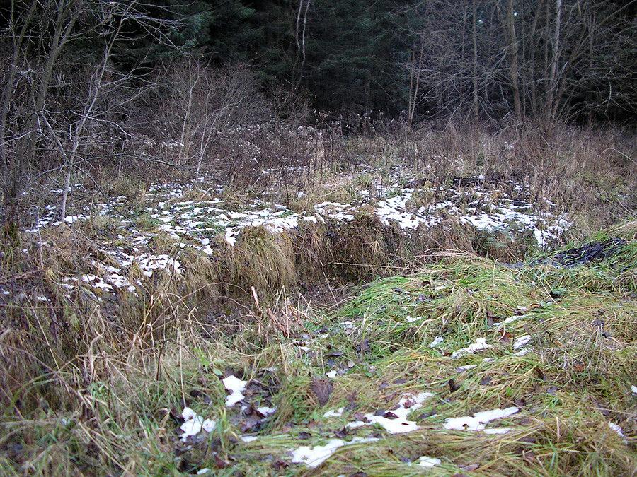 Pierwszy zauważony śnieg (gdzieś koło Naprawy)
