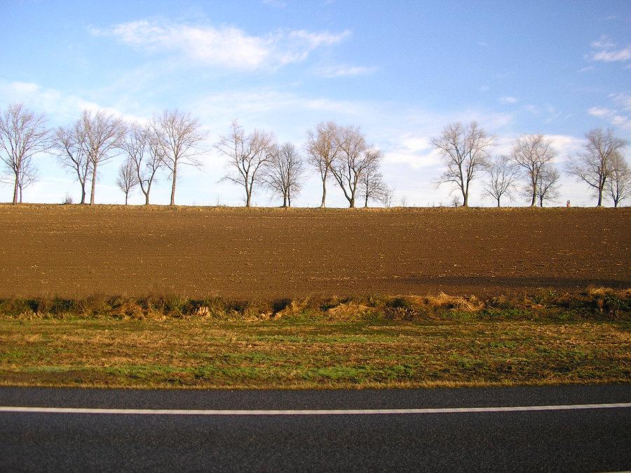 Jesień