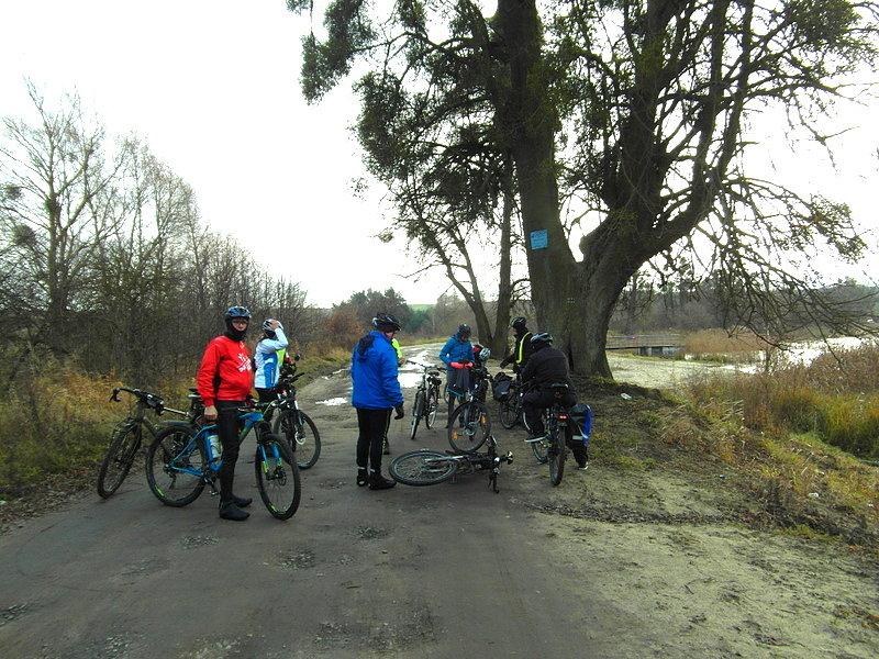Rowerzyści na szlaku